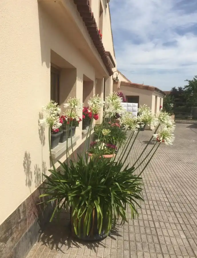Terrace of Detached homes for sale in Vitoria - Gasteiz  with Heating, Private garden and Parquet flooring