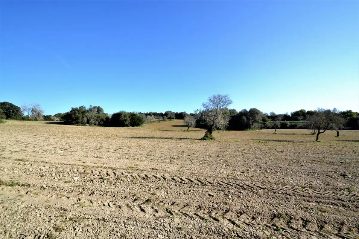 Casa rústica en venta en Llubí, imagen 5