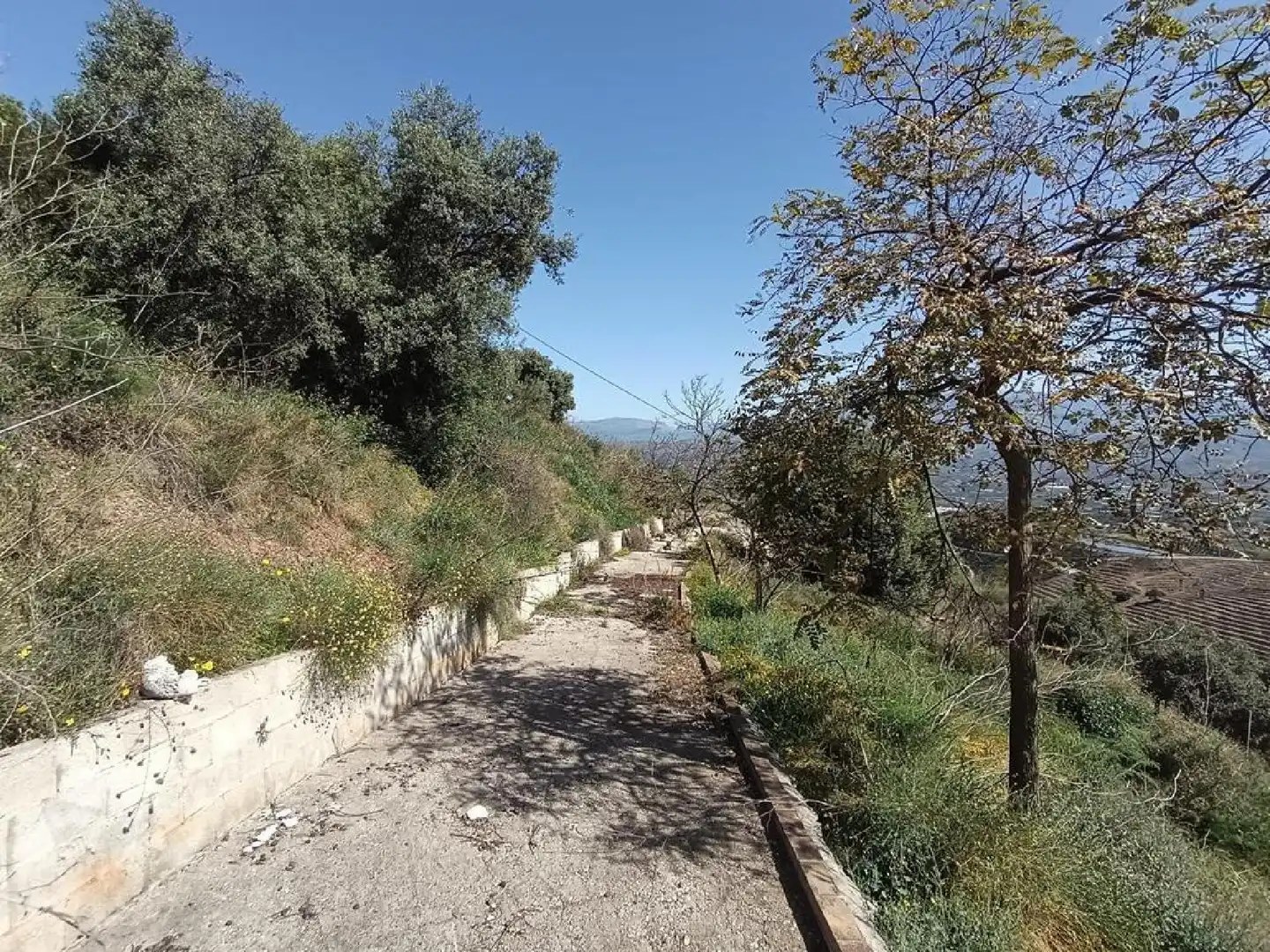 Vista exterior de Casa o xalet en venda en Iznate amb Jardí privat, Terrassa i Traster