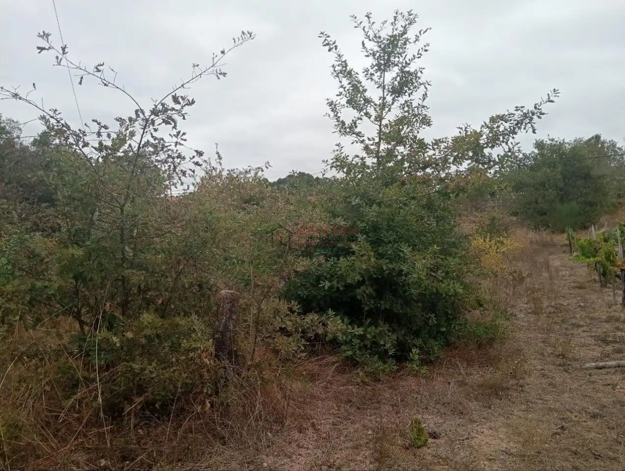 Residencial en venda en San Cibrao das Viñas