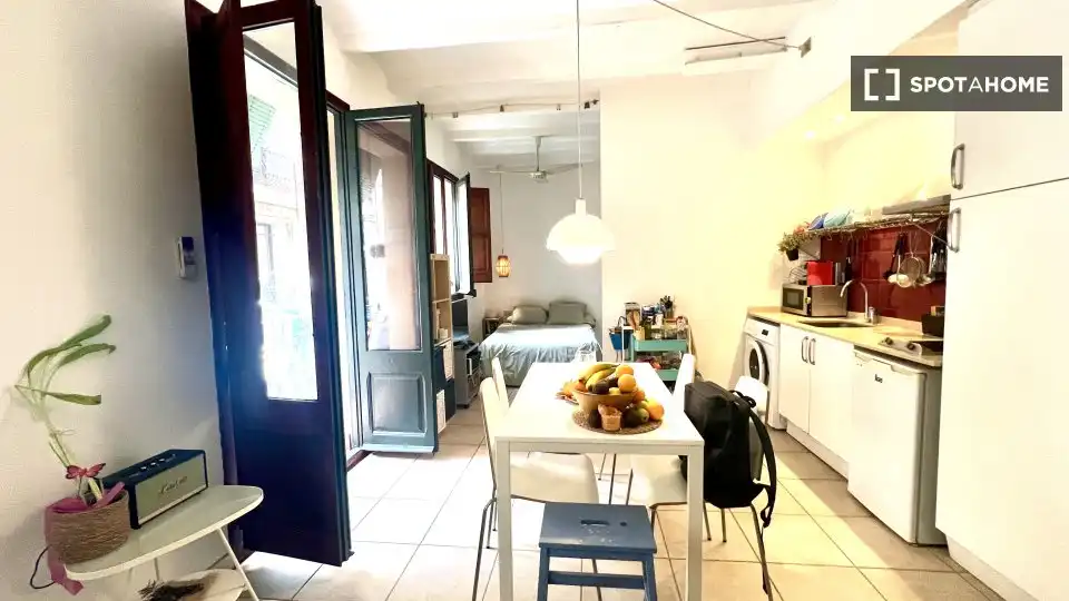Piso con terraza en alquiler en Ciutat Vella, imagen 3