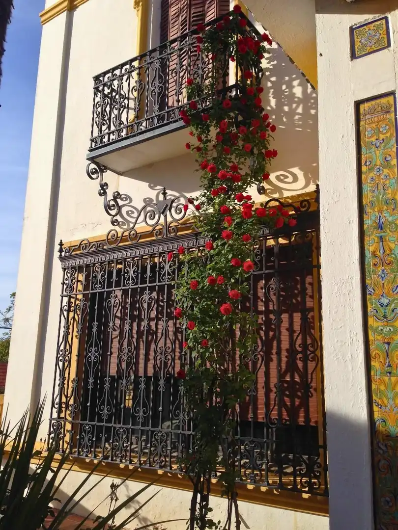 Terraza de Casa o chalet en venta en Villanueva del Arzobispo con Terraza