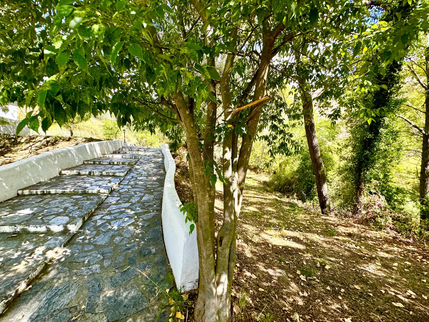Vista exterior de Terreno en venta en Alpujarra de la Sierra