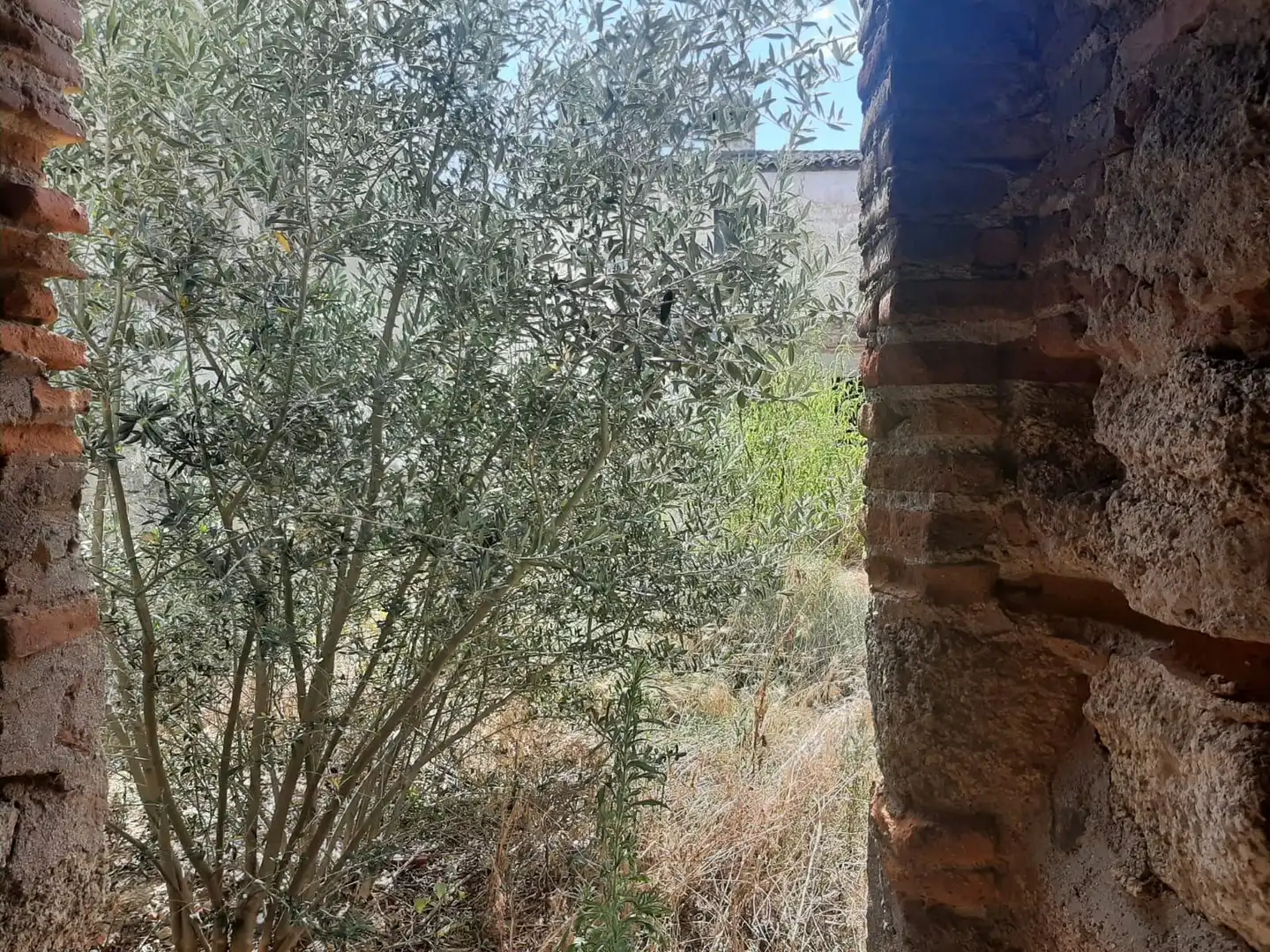 Casa en venda a Malpartida de Cáceres, imagen 6