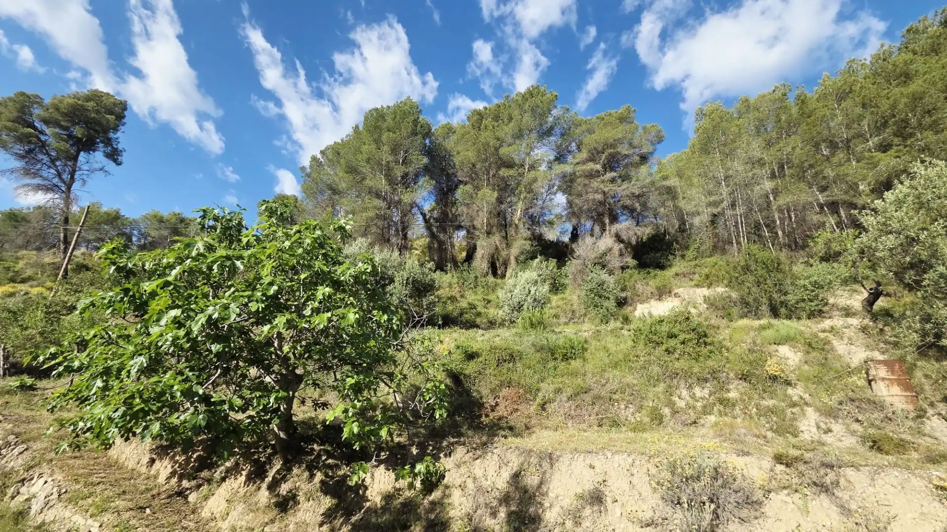 Grundstücke und Bauplätze zum Verkauf in El Castell de Guadalest, imagen 21