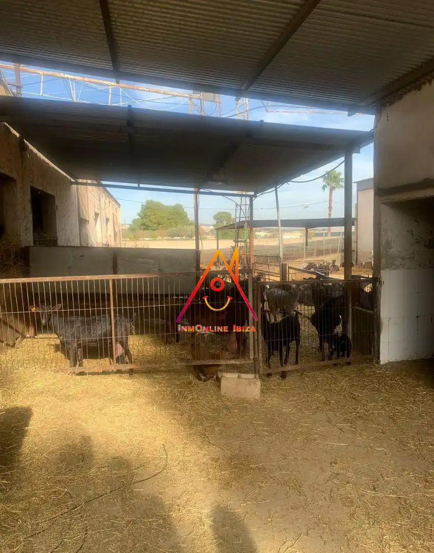 Vista exterior de Finca rústica en venta en Crevillent con Jardín privado, Terraza y Piscina
