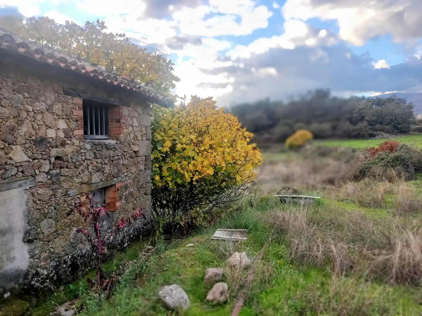 Terreni e lotti in vendita a Jarandilla de la Vera, imagen 3