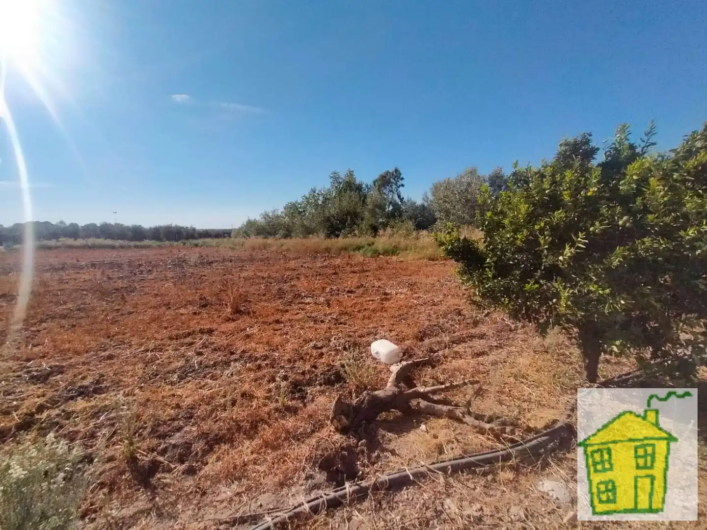 Finca rústica en venta en Marmolejo con Jardín privado
