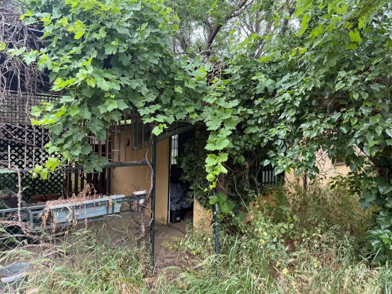 Chalet con jardín en venta en Urbanizacion Tres Palmeras