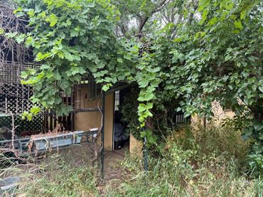 Xalet amb jardí en venda a Urbanizacion Tres Palmeras