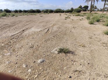 Terreno rustico in vendita a Totana