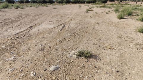 Dos Parcelas en Venta en Totana