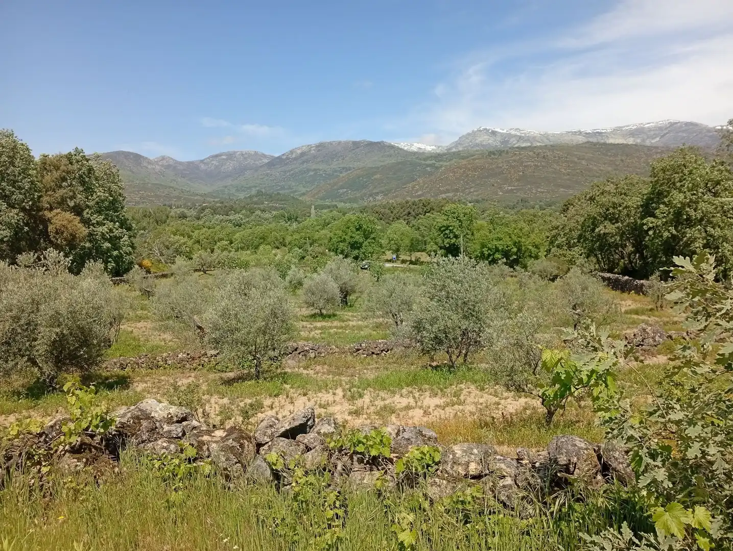 Terreni e lotti in vendita a Villanueva de la Vera, imagen 124