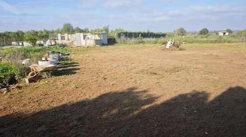Parcela Rústica de 6.316 m2 en Felanitx  Zona Segona Volta, imatge 5