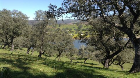 Parc. Rúst. en venta en Aracena., immagine 4
