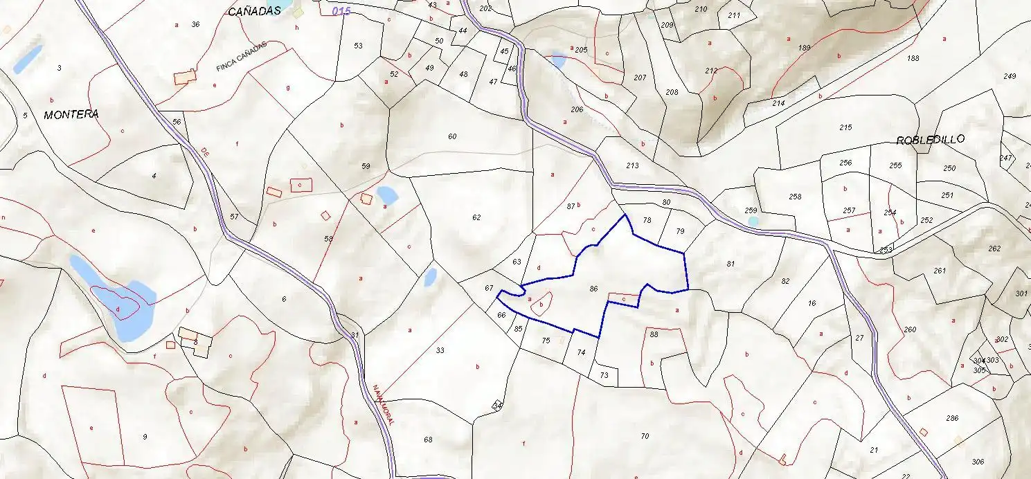 Terreni e lotti in vendita a Cuacos de Yuste, imagen 3