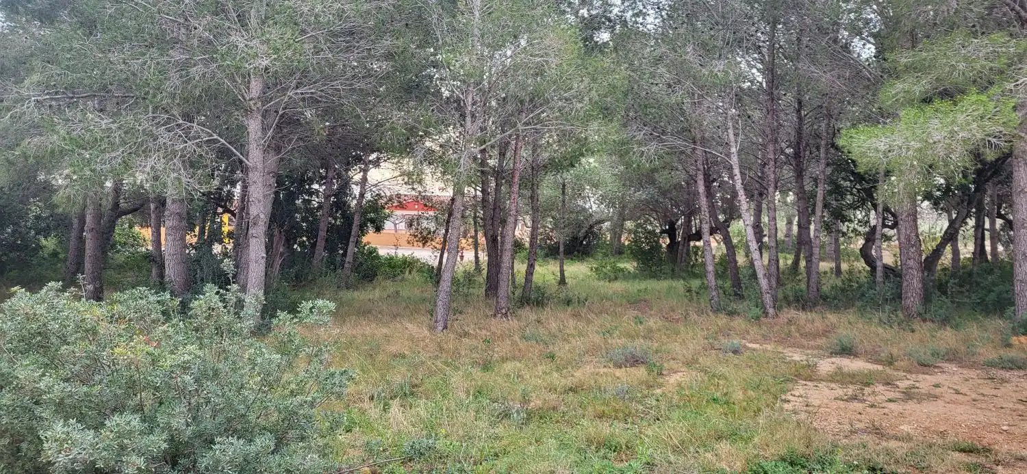 Lands and plots for sale in Meligó, imagen 4