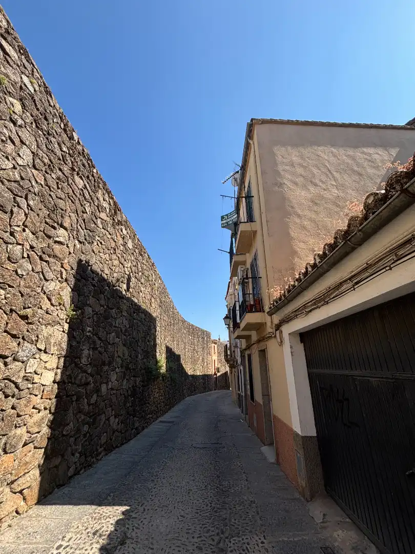 Vista exterior de Casa adosada en venda en Plasencia amb Calefacció i Balcó