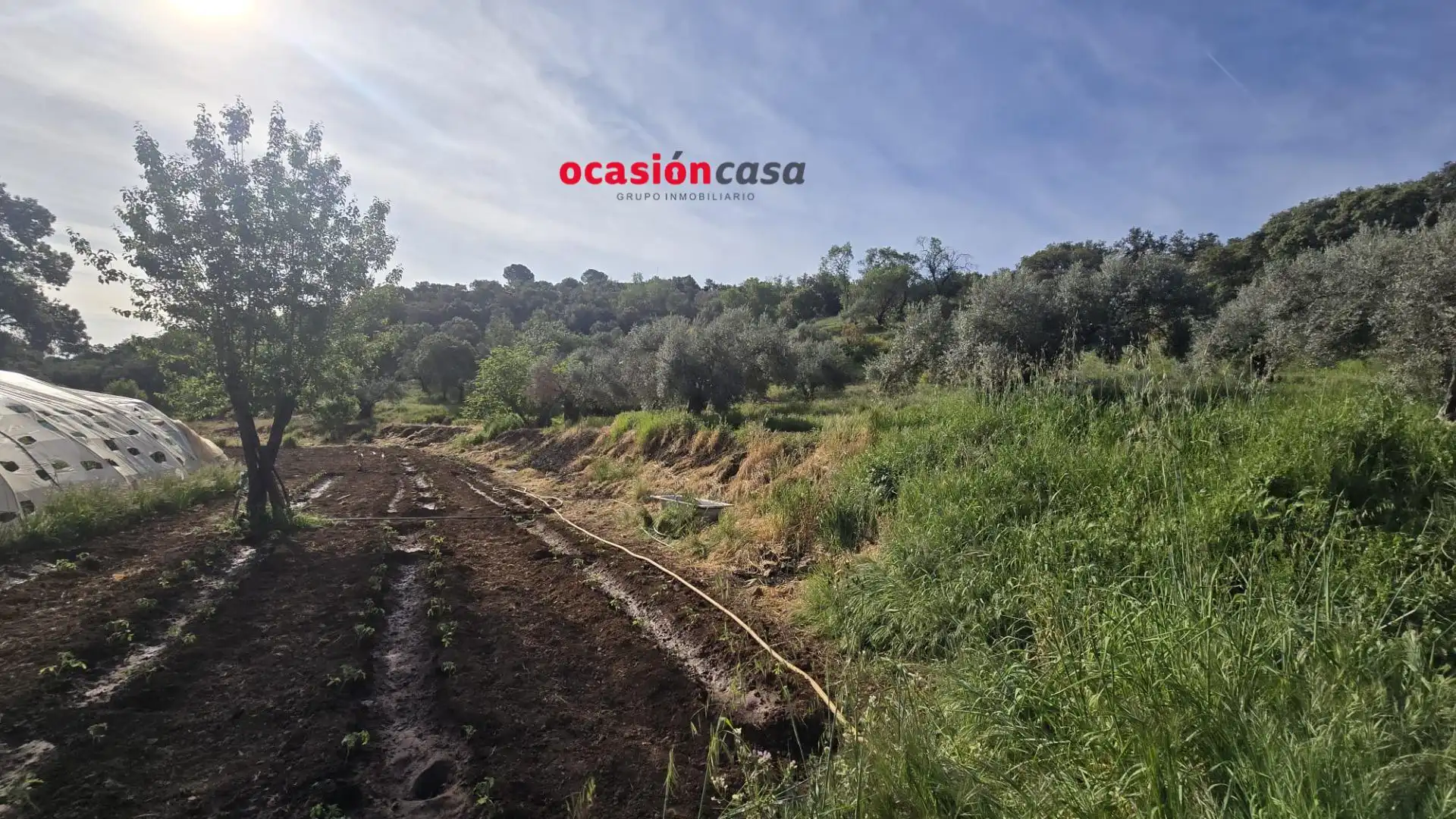 Casa in vendita a Belmez, imagen 4