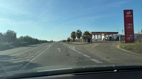 Foto 3 de Finca rústica en venda a Callejón de la Dehesa, Pilas, Sevilla