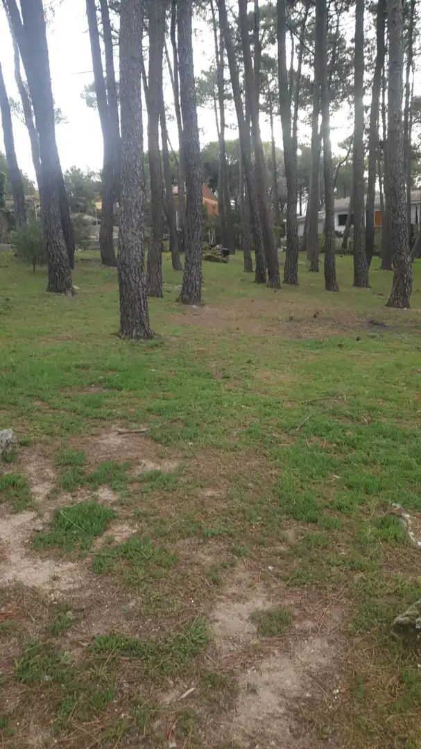 Residential land for sale in Calle Segovia 104, imagen 6