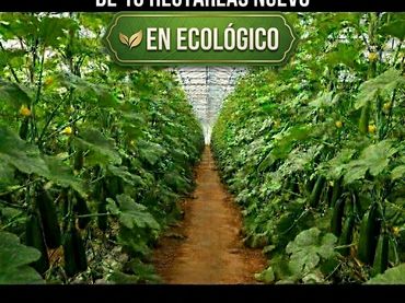Terreno rustico in vendita a Níjar pueblo