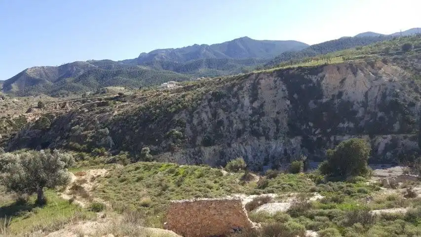 Finca rústica en venta en Ricote