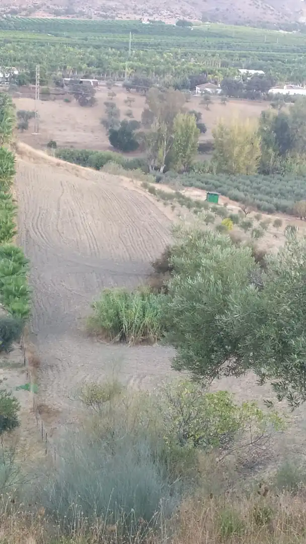 Terreni e lotti in vendita a Alquería - Torrealquería, imagen 2