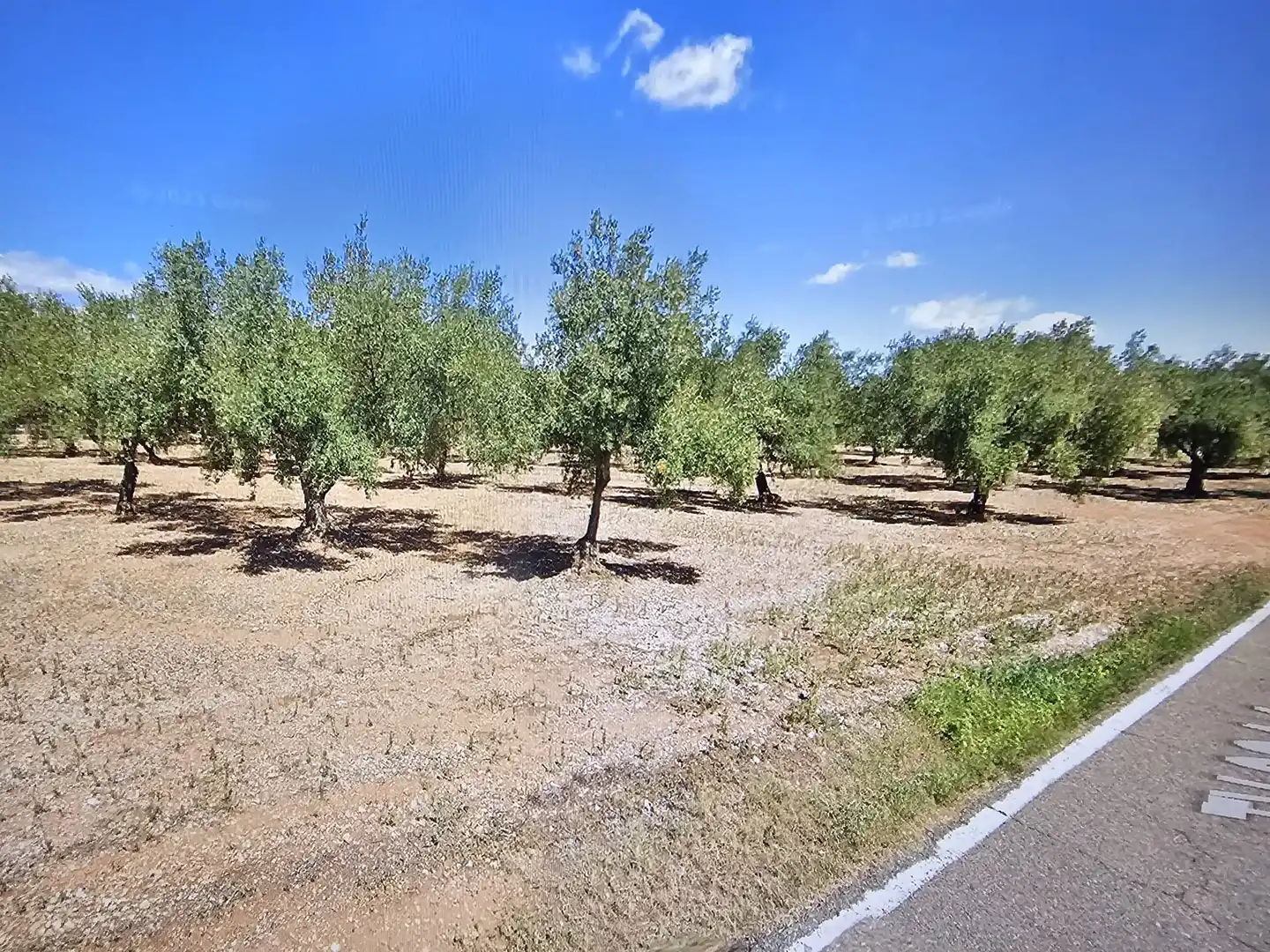 Rural land for sale in Godall, imagen 5