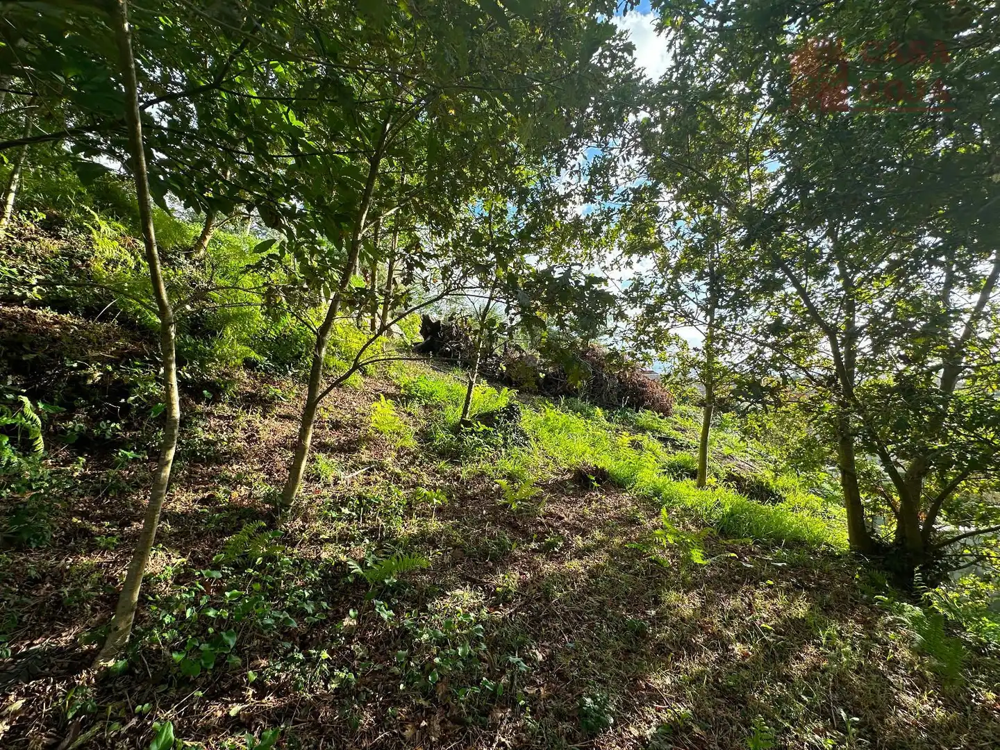 Terrain rustique à vendre à Moaña, imagen 13