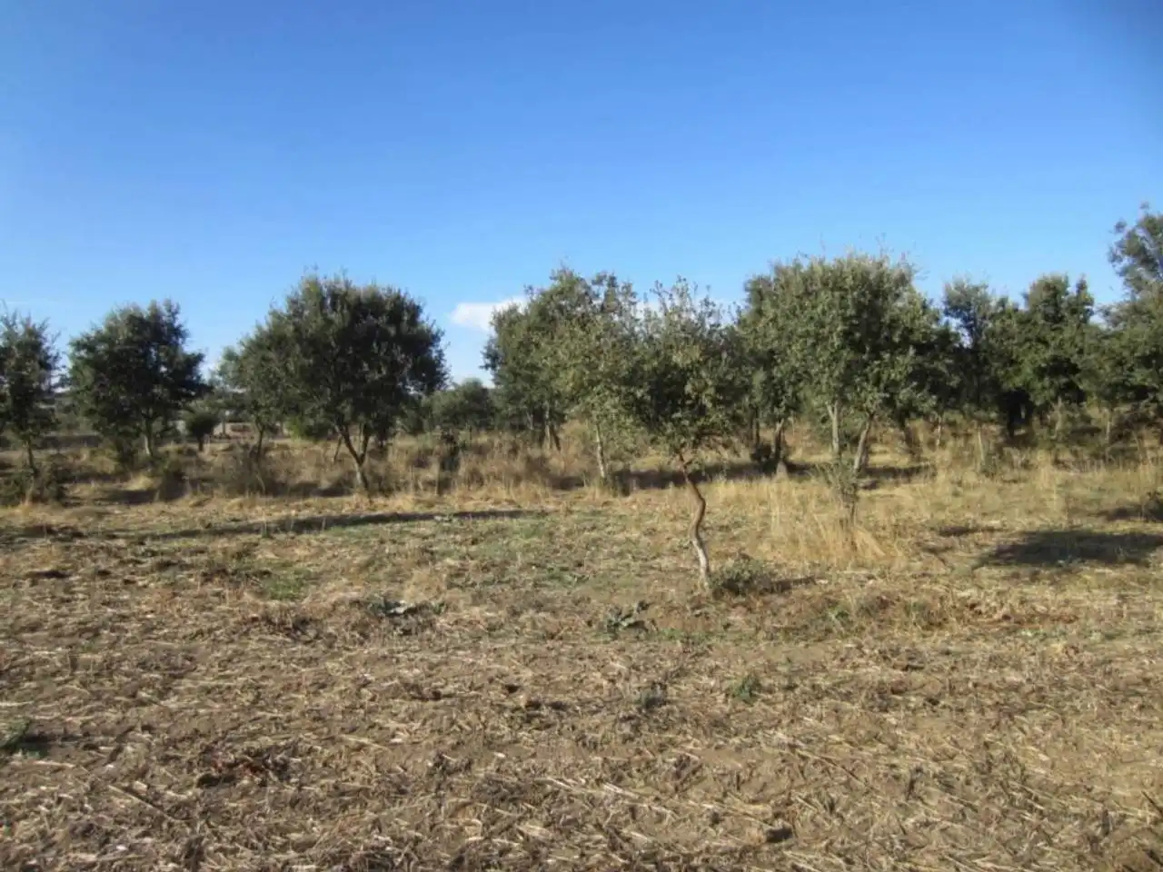 Terreno residencial en venta en Poligono 14, imagen 8