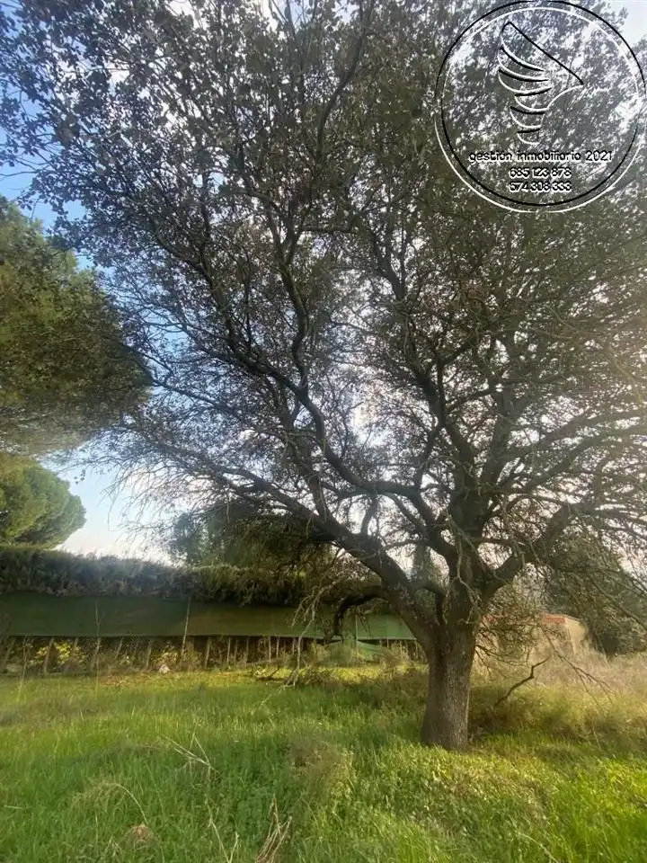 Terreni e lotti in vendita a Urbanización Arenal Blanco, imagen 6