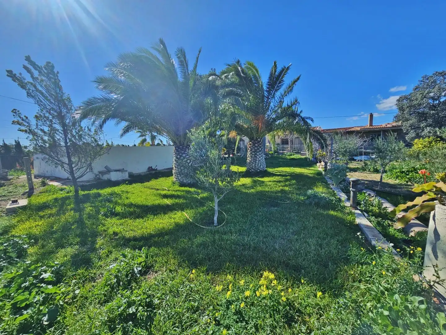 Jardín de Finca rústica en venta en Alicante / Alacant