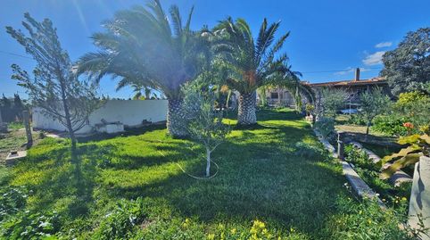 Photo 3 of Country homes for sale in Cañada del Fenollar, Alicante / Alacant