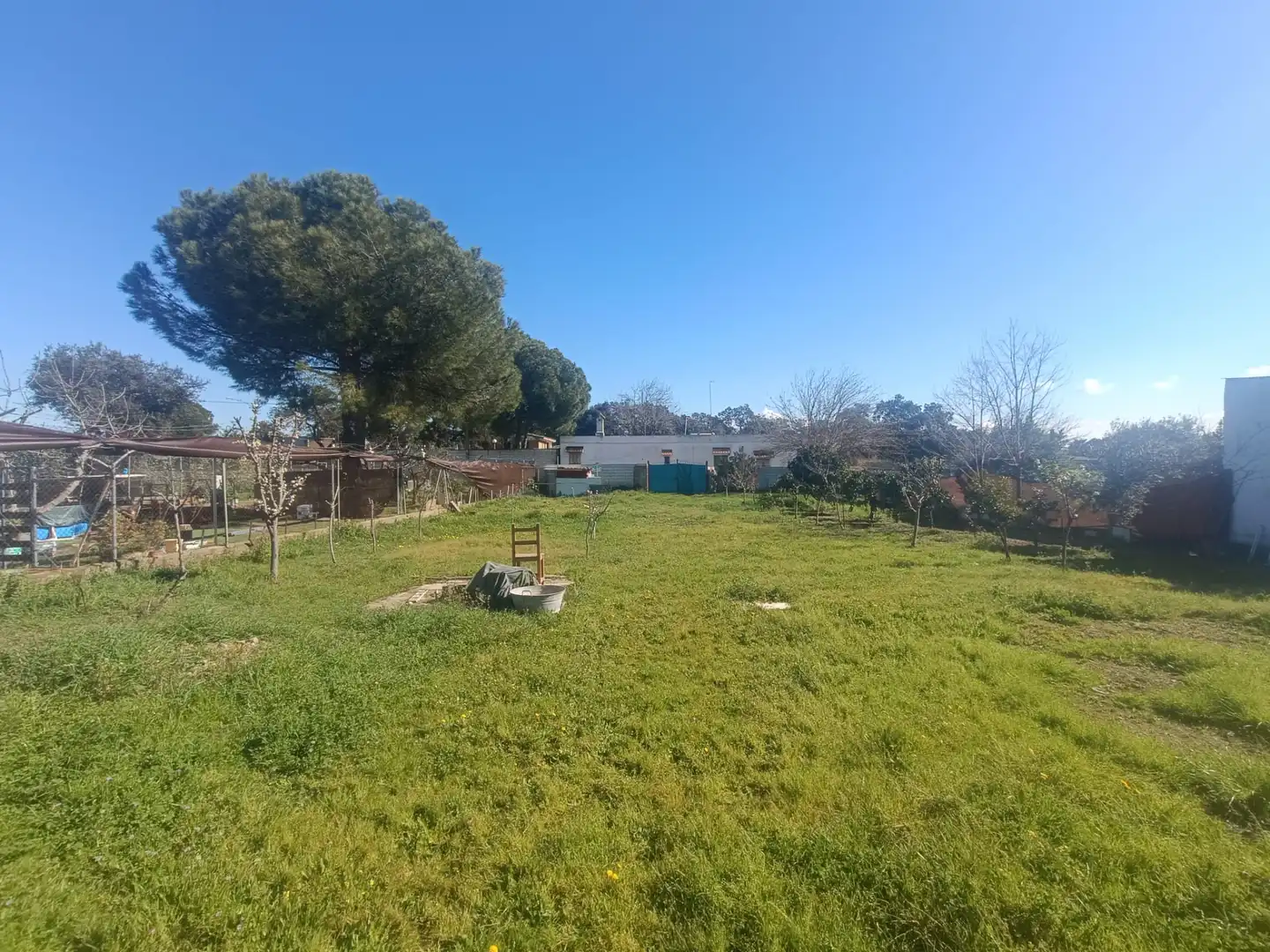 Terreni e lotti in vendita a Castilblanco de los Arroyos, imagen 10