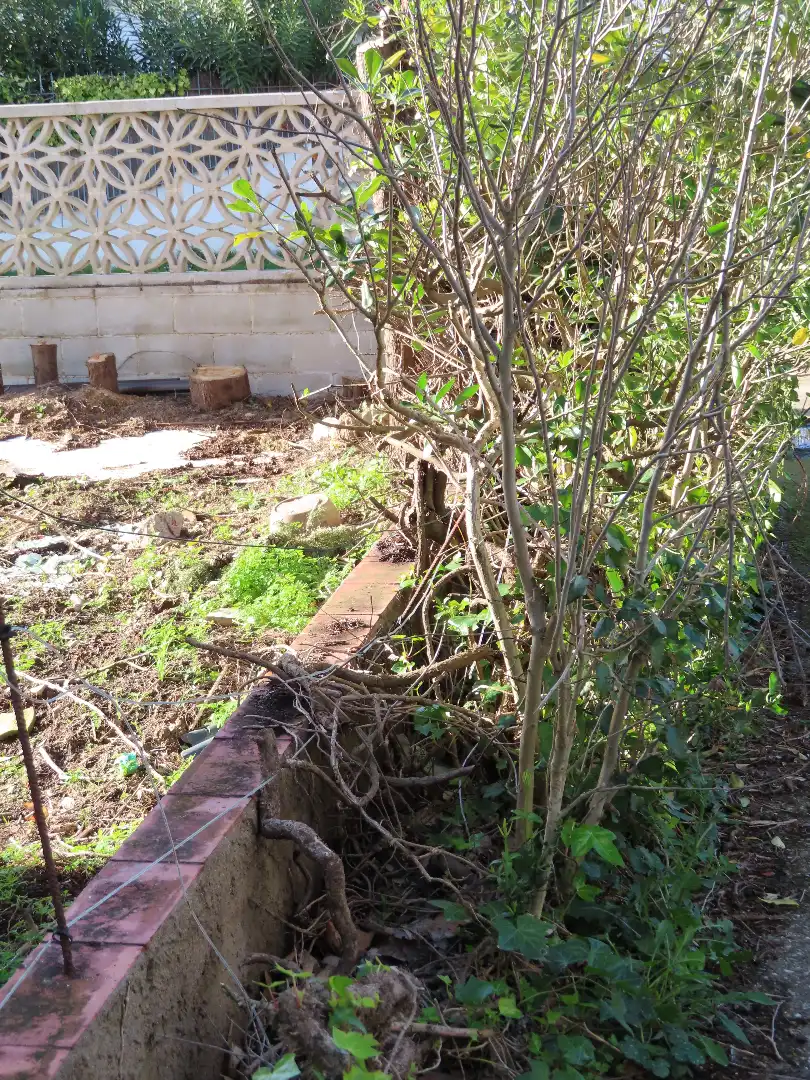 Jardín de Piso en venta en Empuriabrava con Jardín privado, Terraza y Amueblado