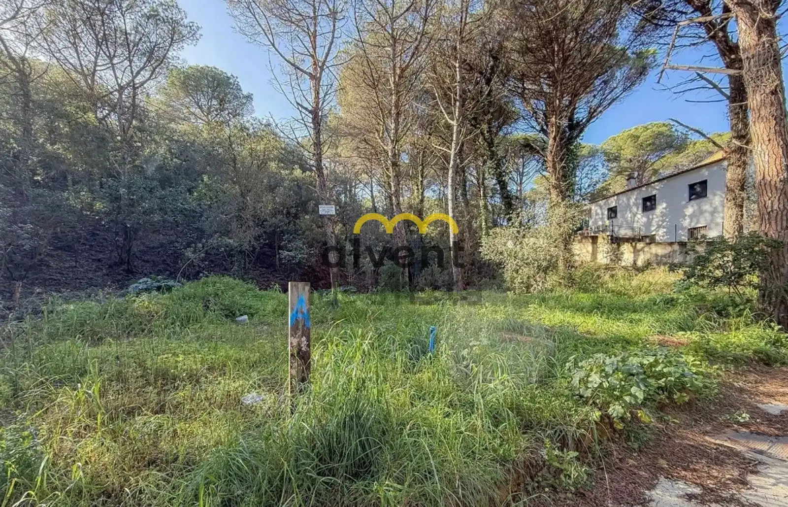 Rural land for sale in Manxa, imagen 16