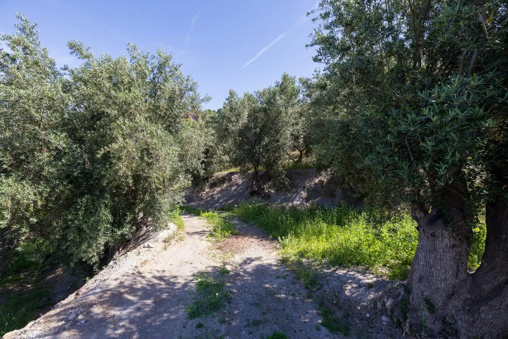 Rustikales Grundstück zum Verkauf in POLIGONO 20 PARCELA 90, imagen 20