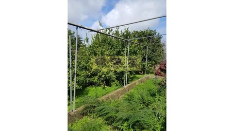 Foto 5 de Finca rústica en venta en La Esperanza - Llano del Moro, El Rosario