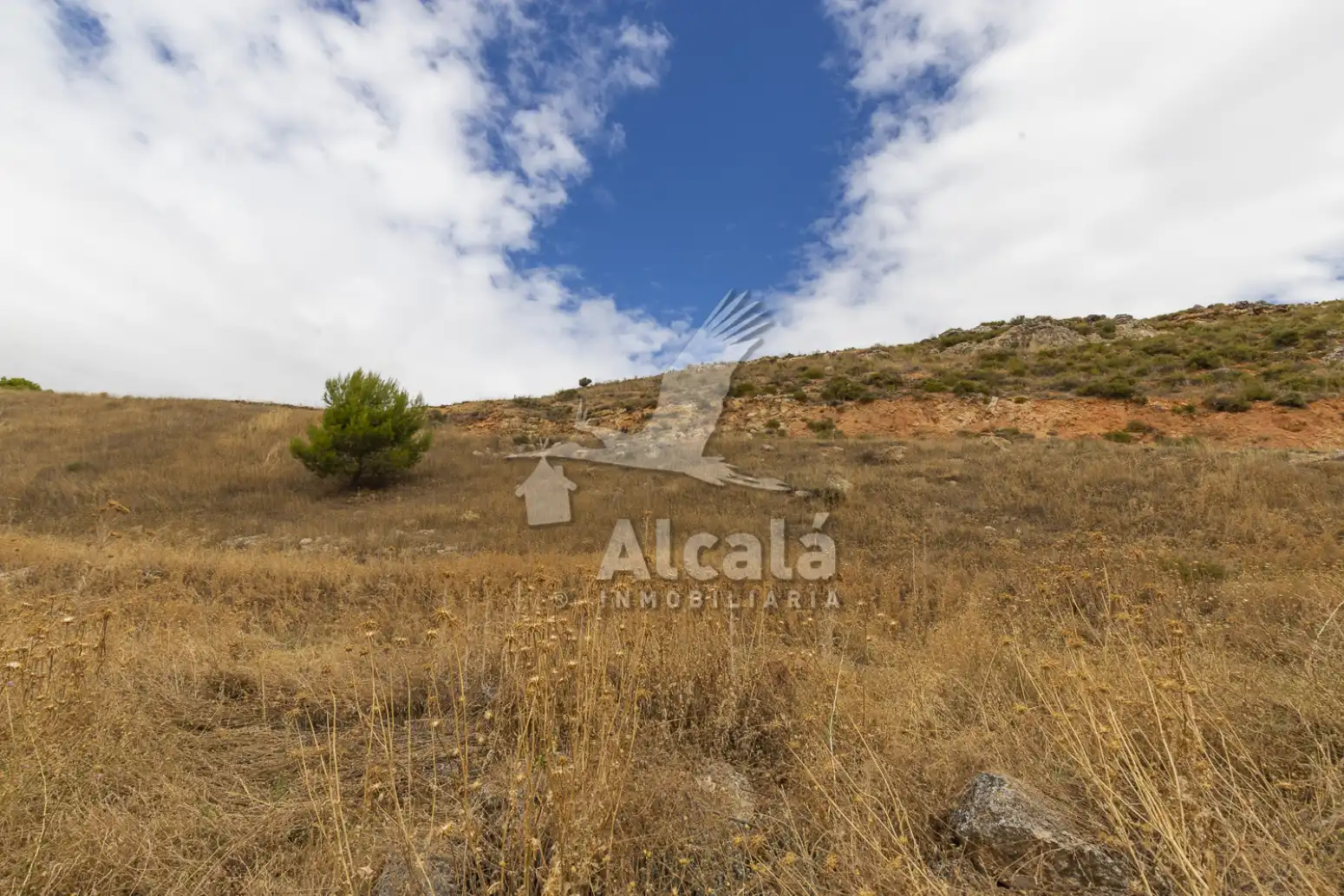 Residential land for sale in Hueva, imagen 10