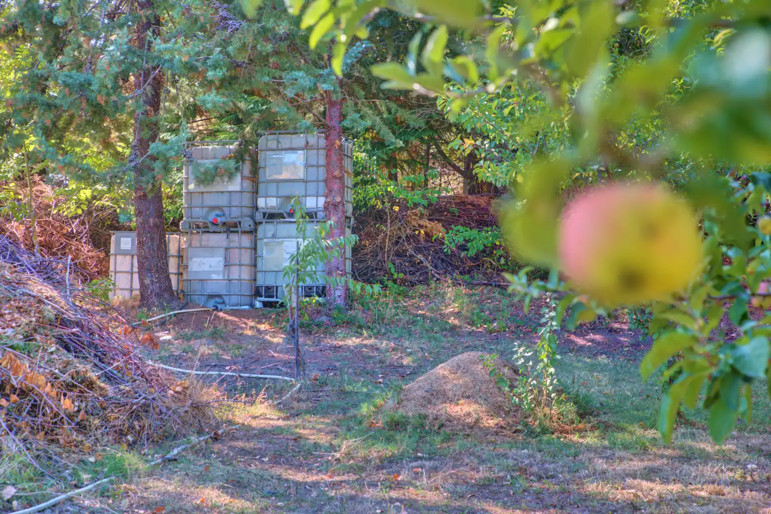 Garden of Land for sale in Salinas de Oro / Jaitz