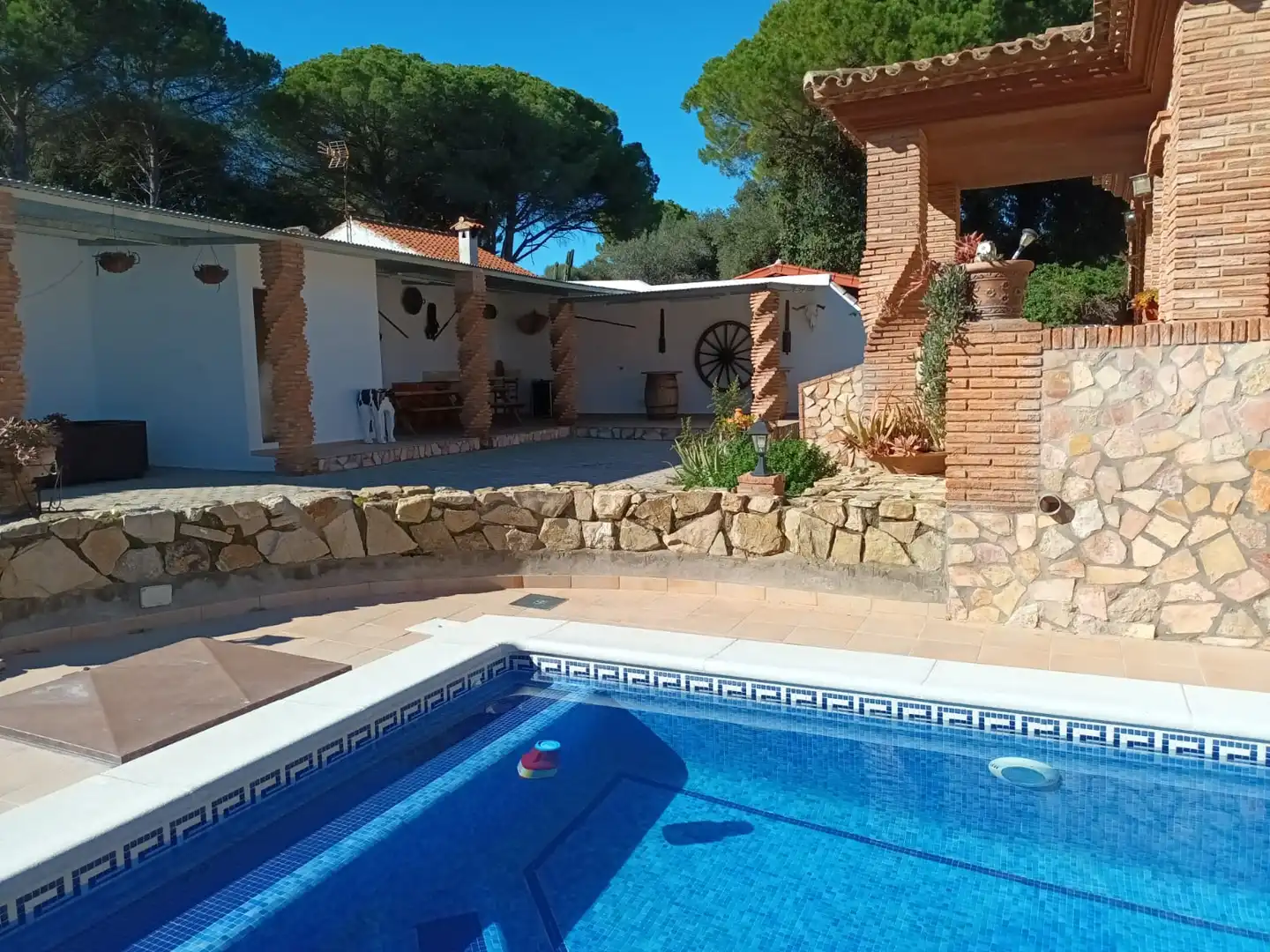 Piscina de Finca rústica de alquiler en Barbate con Aire acondicionado, Terraza y Piscina