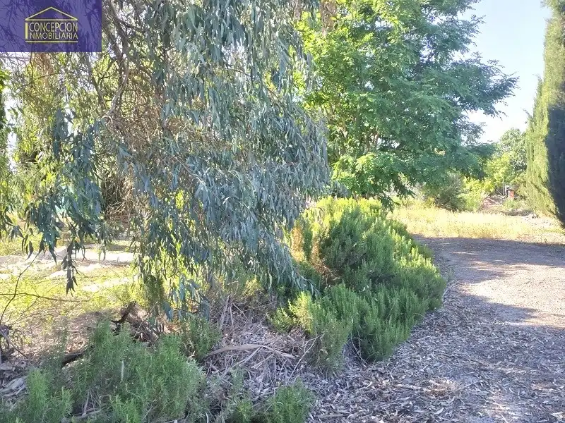 Grundstücke und Bauplätze zum Verkauf in Periurbano Oeste - Sierra, imagen 8
