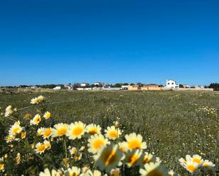 Land for sale in Conil de la Frontera