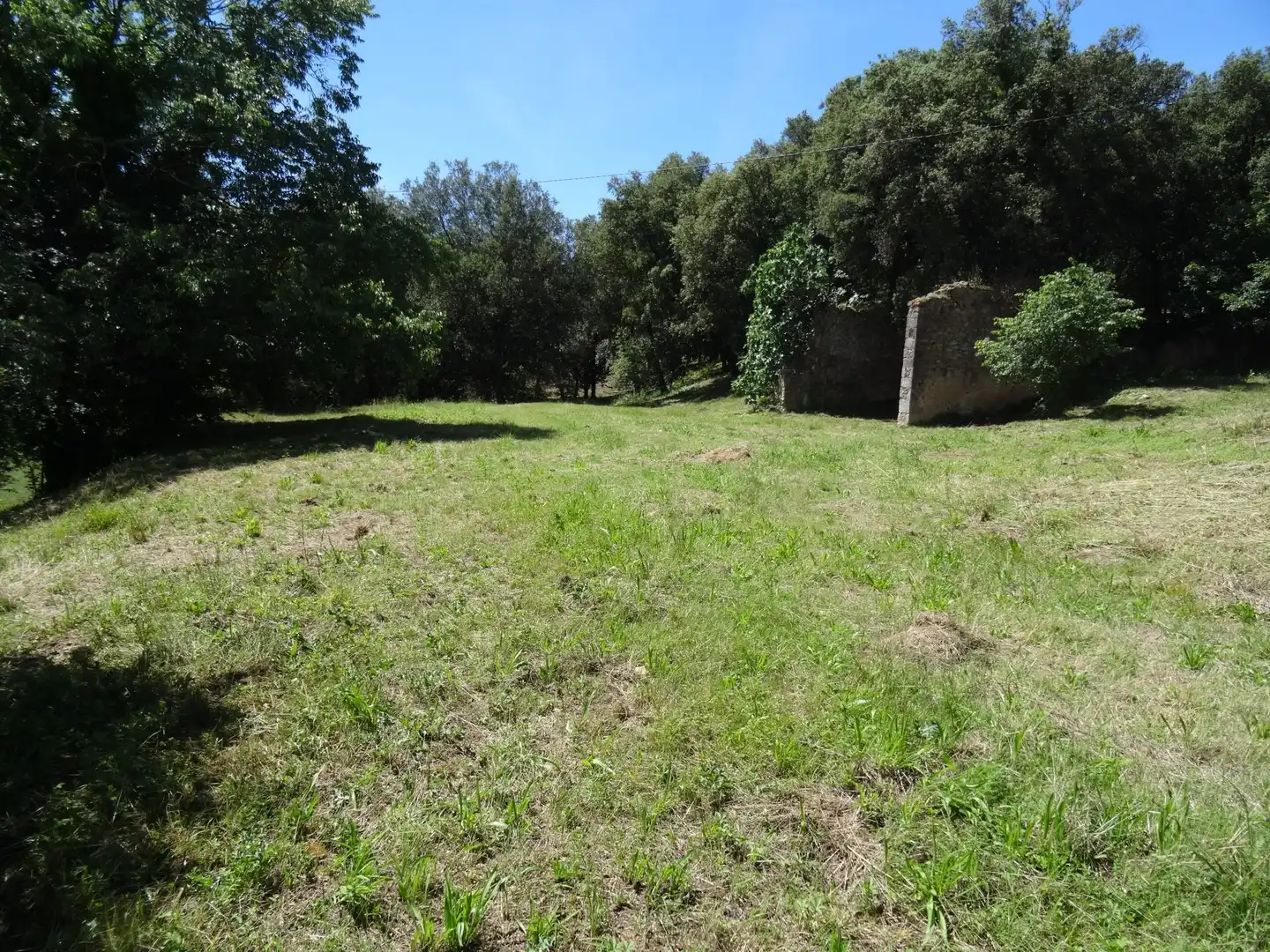 Finca rústica en venta en Bescanó