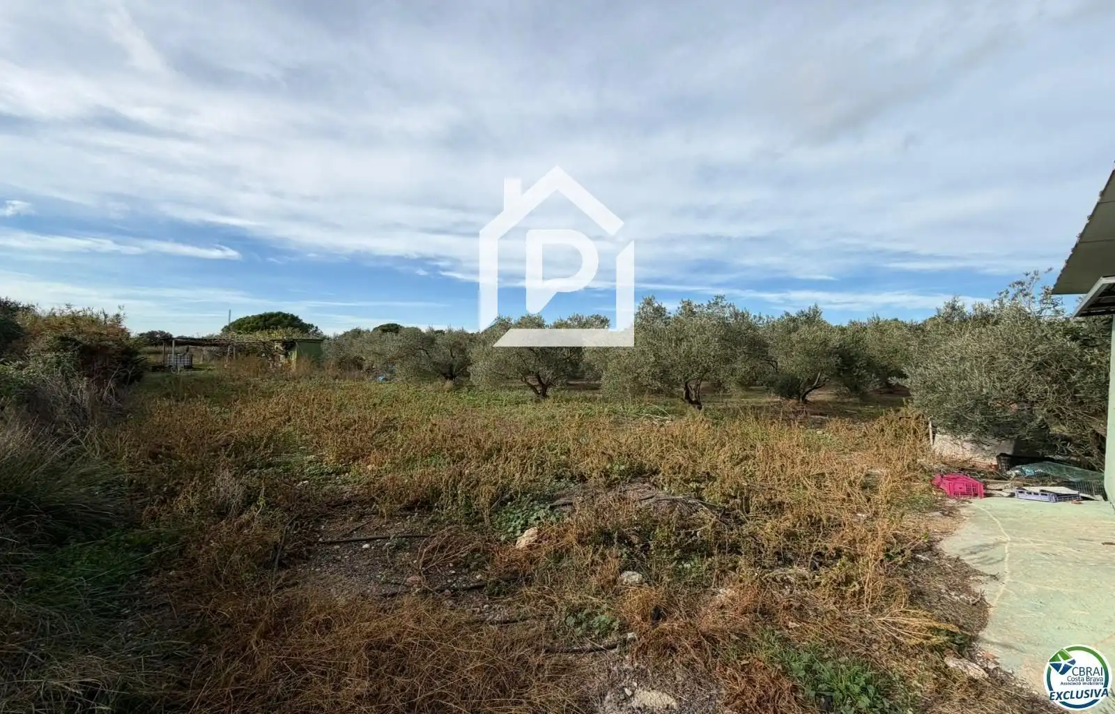 Terreny rústic en venda a TORRE DEL VIENTO, imagen 19