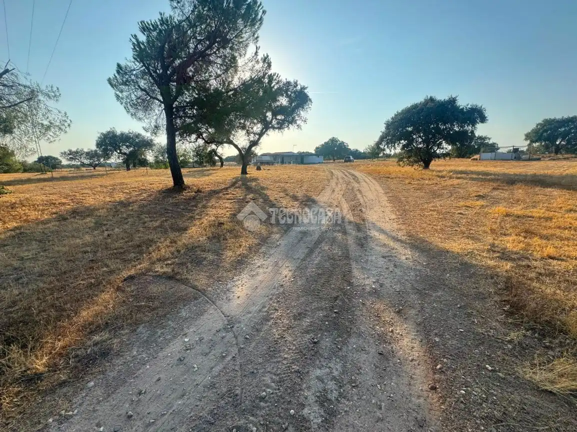 Finca rústica en venda en Badajoz amb Traster i Moblat