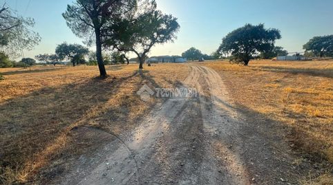 Foto 4 de Finca rústica en venda a Las Vaguadas, Badajoz Capital