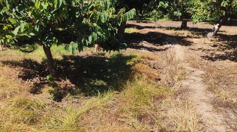 Photo 4 of Country homes for sale in Almuñecar Centro, Almuñécar