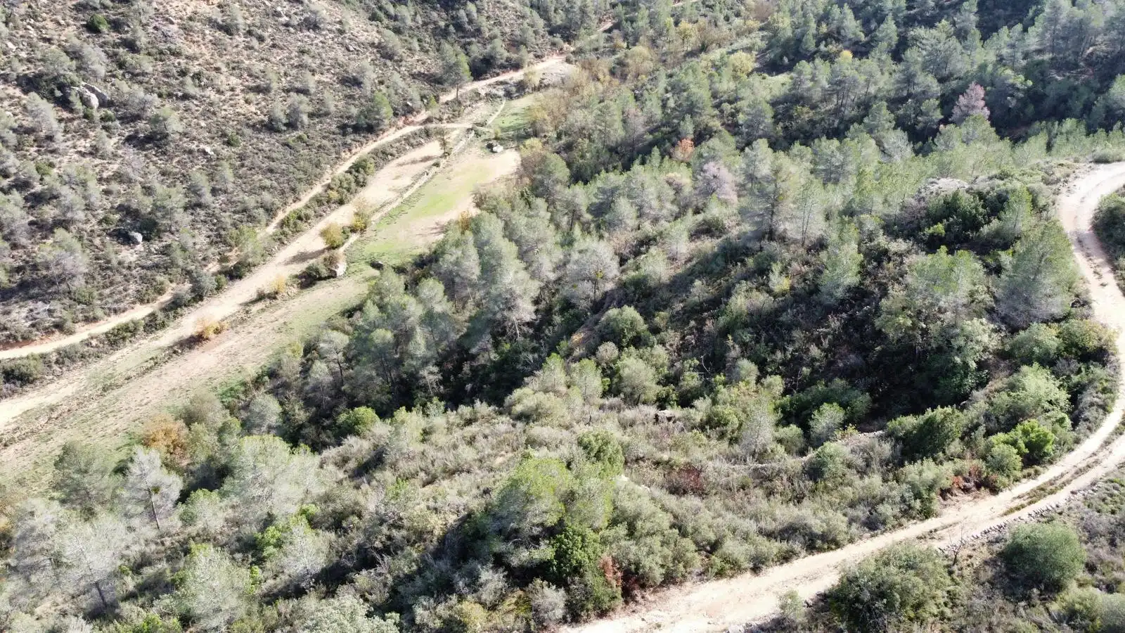 Terreno rustico in vendita a Cervià de Les Garrigues, imagen 17